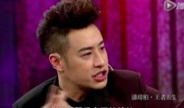 娱乐圈内幕爆料潘玮柏,真相与传闻的交织